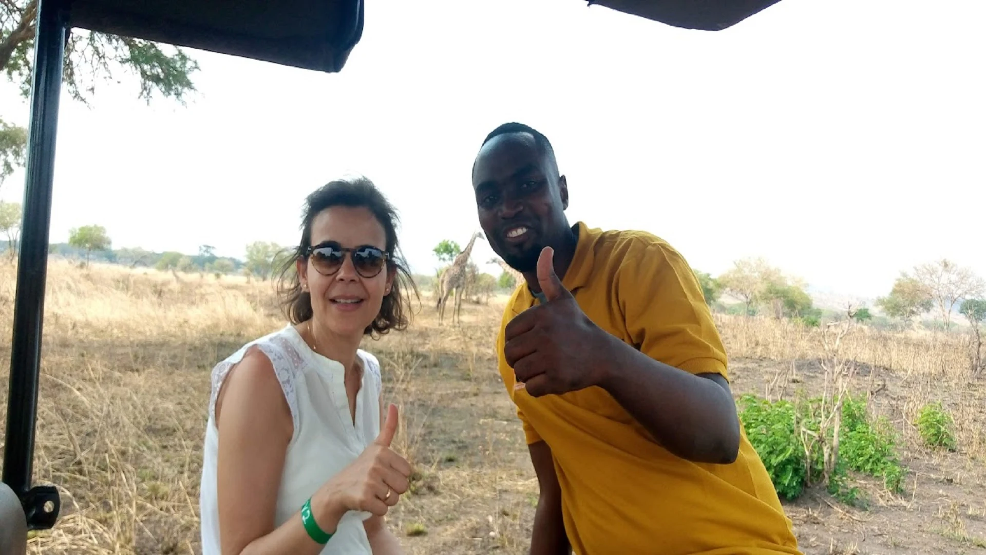 Wildlife Safari in Serengeti   National Park Tanzania - Fantastic Safaris